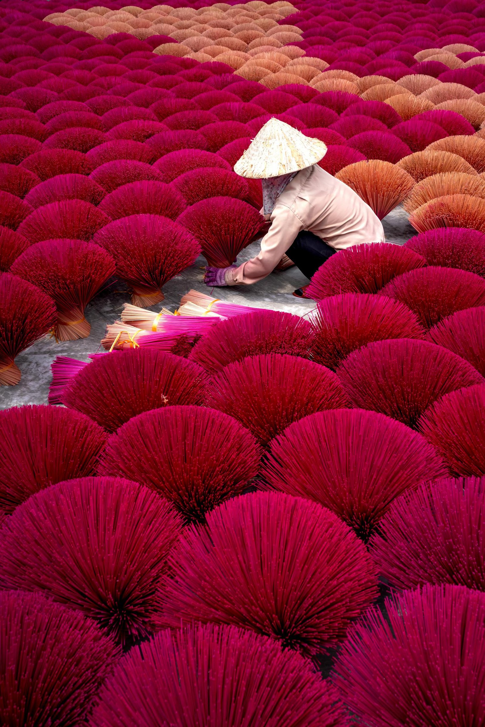Woman arranges colorful incense sticks outdoors in a Vietnamese village, showcasing tradition.