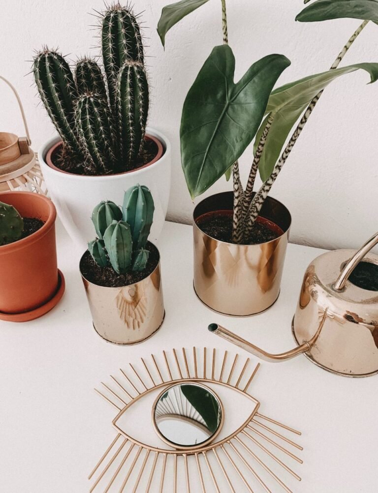 Skateboard chillwave viral master cleanse